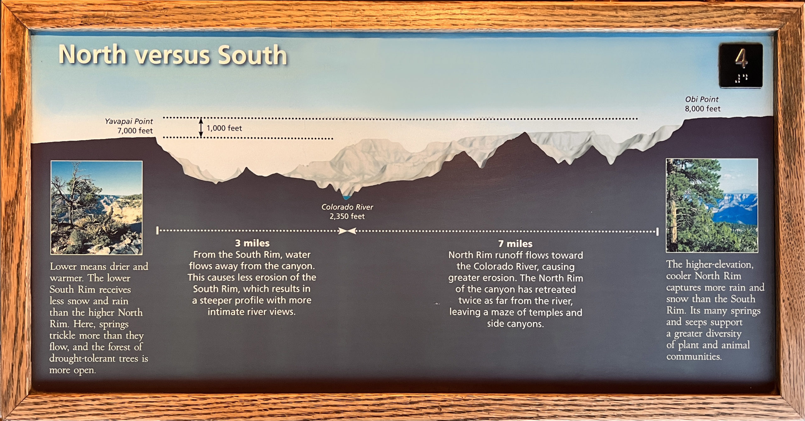 Grand Canyon Erosion Sign